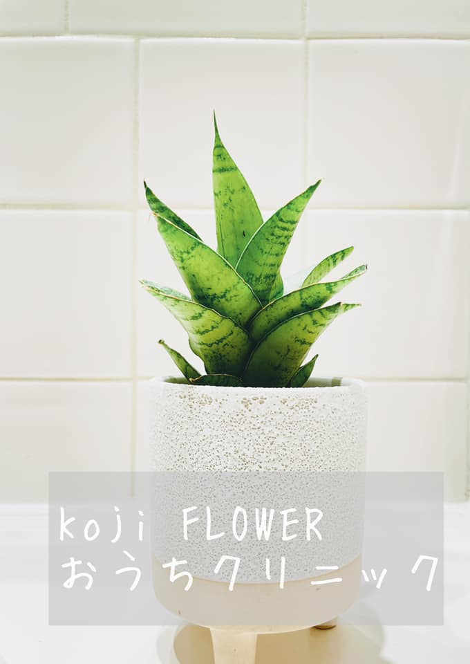 158761659_3656538084443613_9207832374610025773_n